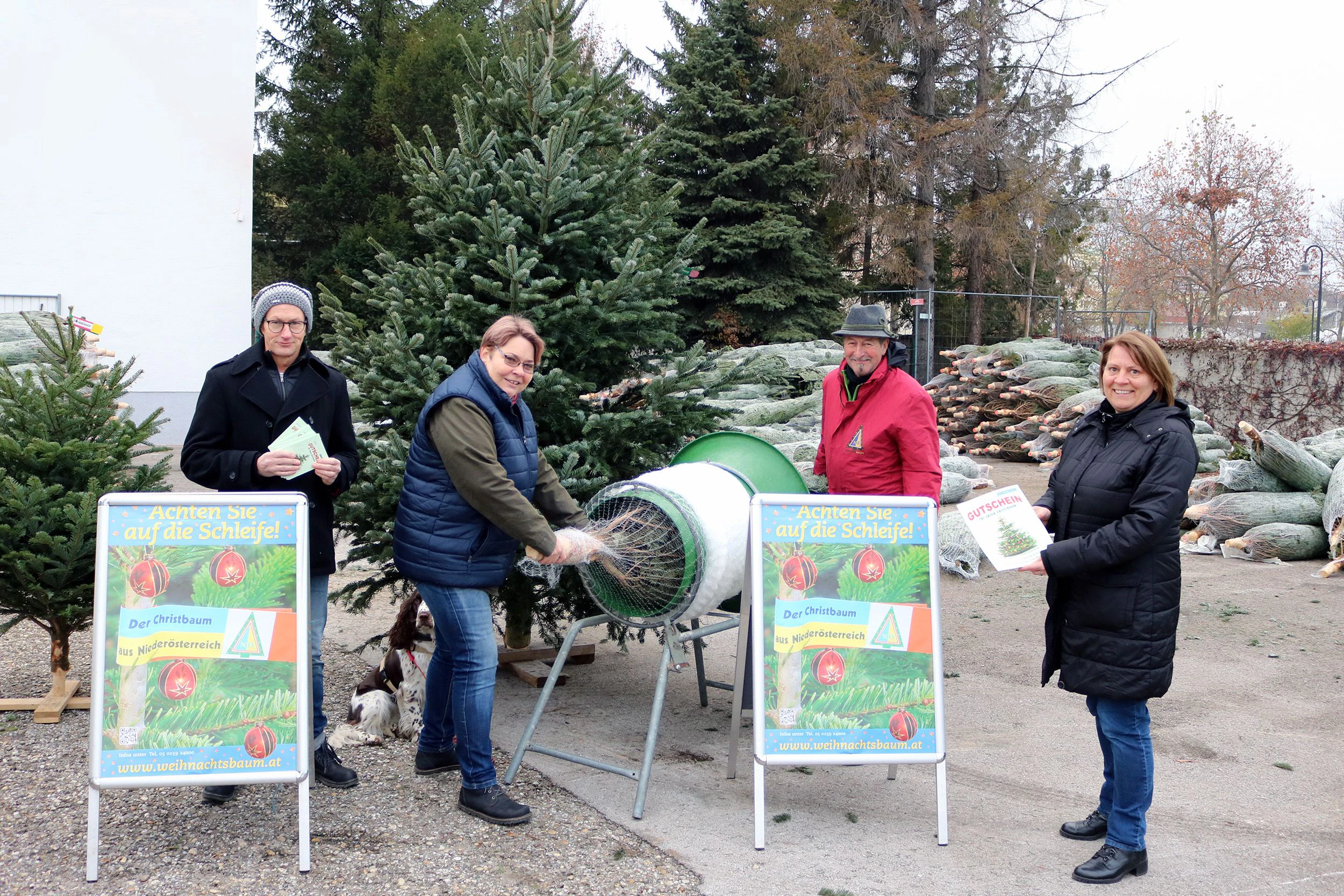 Mitarbeiter der Stadtgemeinde Peter Mitterecker, Bürgermeisterin Karin Baier, Christbaumverkäufer Josef Haselböck und Sozialstadträtin Vera Edelmayr bei der Übergabe der Gutscheine