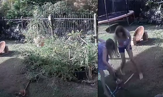Auf dem Video der Außenkamera sieht man den spektakulären Angriff, sowie die beherzte Rettung.
