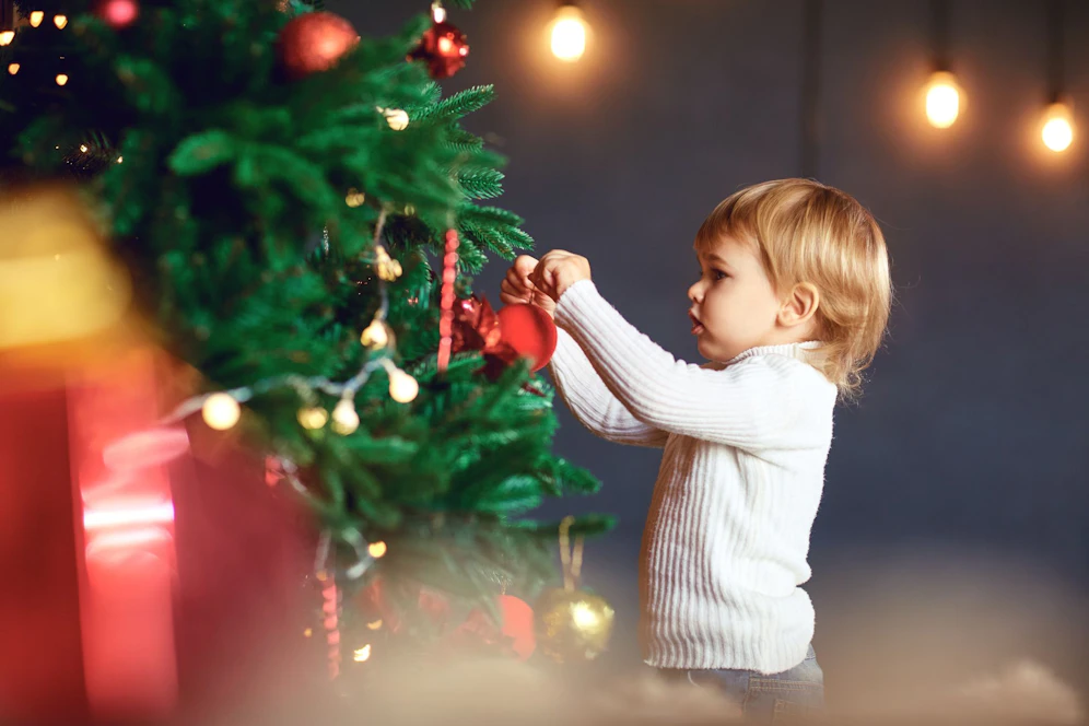 Angst vor Insekten? Dann solltest du auf eine echte Tanne an Weihnachten besser verzichten.