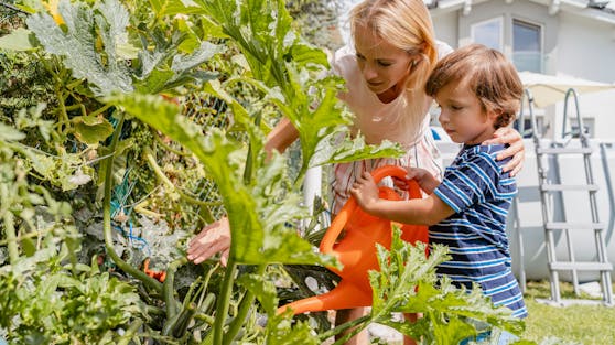 Im Krisenjahr haben viele Menschen Interesse für die Natur und ihre Nutzpflanzen entwickelt.