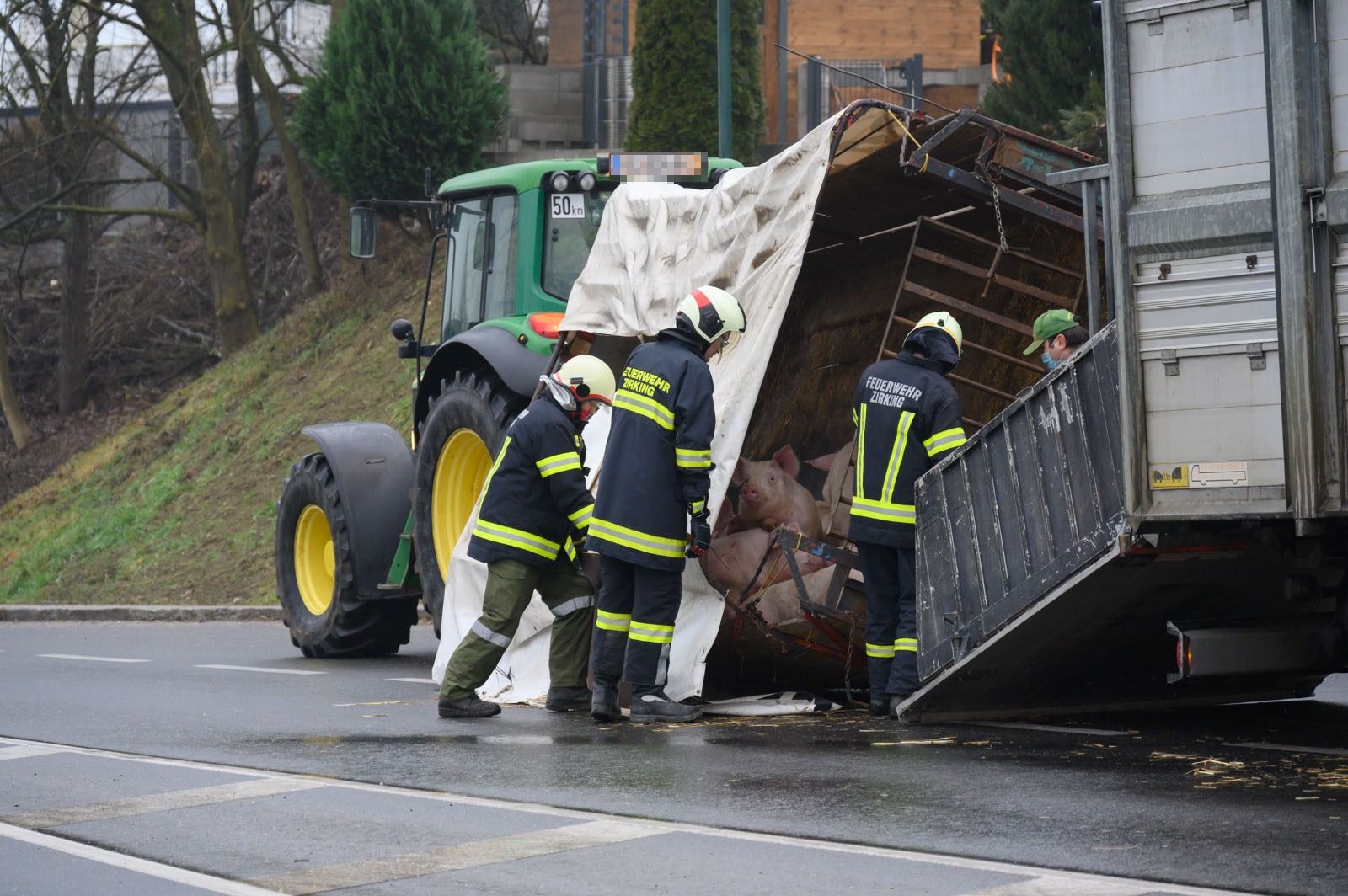Die Schweine konnten unverletzt verladen werden.