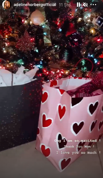 Adeline feiert Weihnachten mit Claudia Norberg