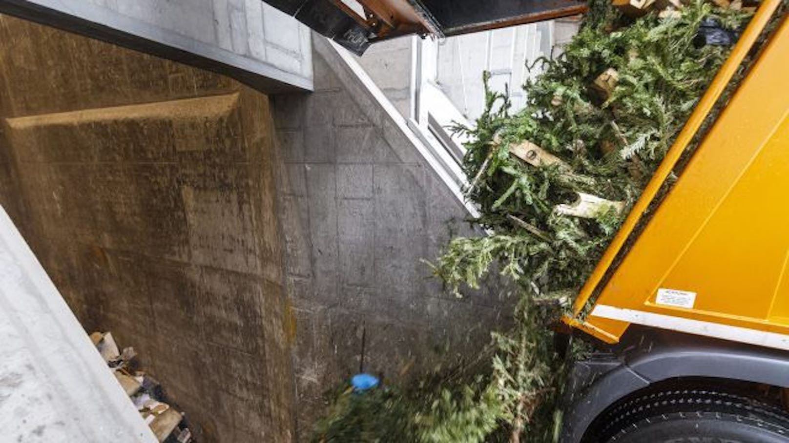 Die Christbäume werden in der Müllverbrennungsanlage Pfaffenau in Simmering verwertet