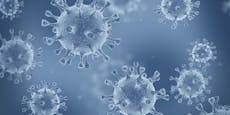 Mutiertes Coronavirus auch in Südkorea nachgewiesen