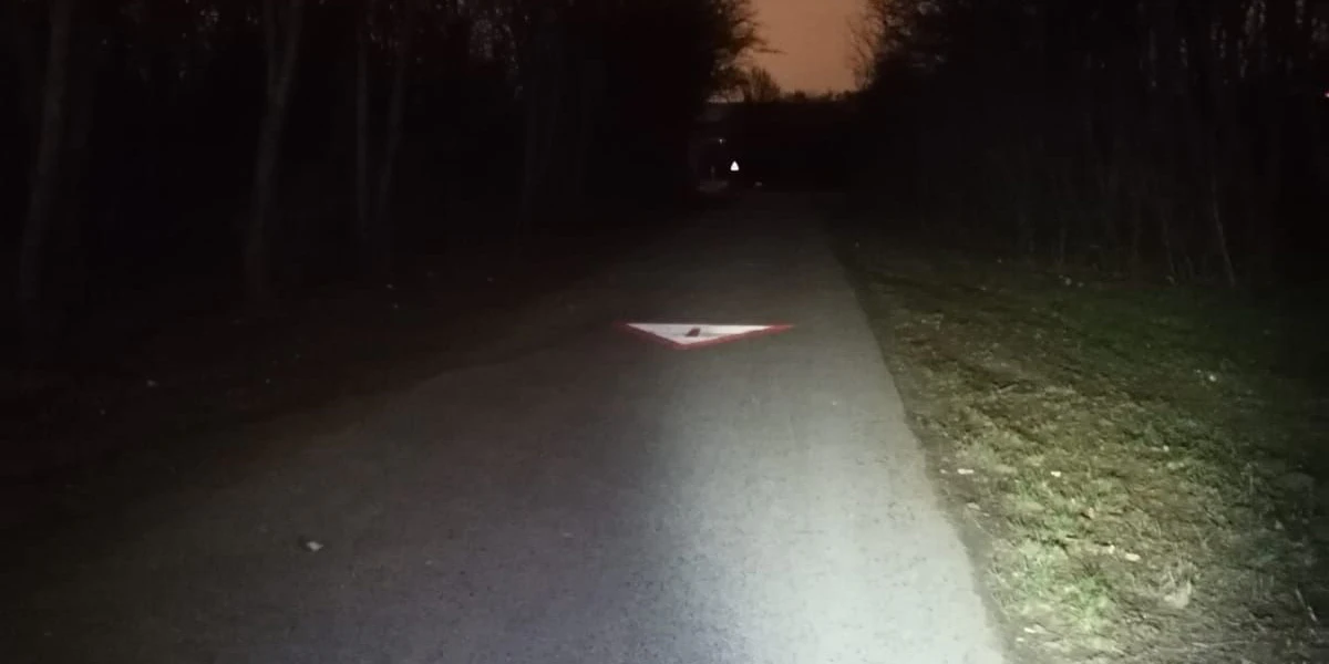 Fahrt ins Dunkle auf der Donauinsel
