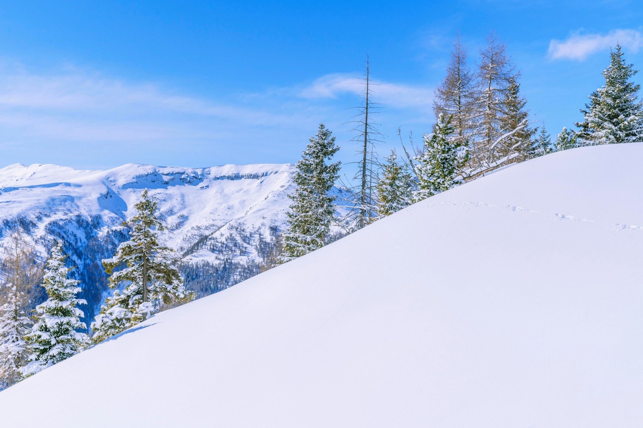 Heute.at - Lawine reißt Salzburger 500 Meter weit mit