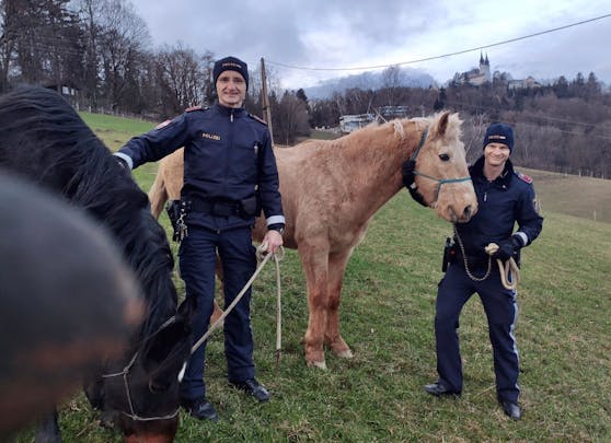 Die beiden Polizisten Günter L. und David M. fingen die drei entlaufenen Rösser wieder ein.
