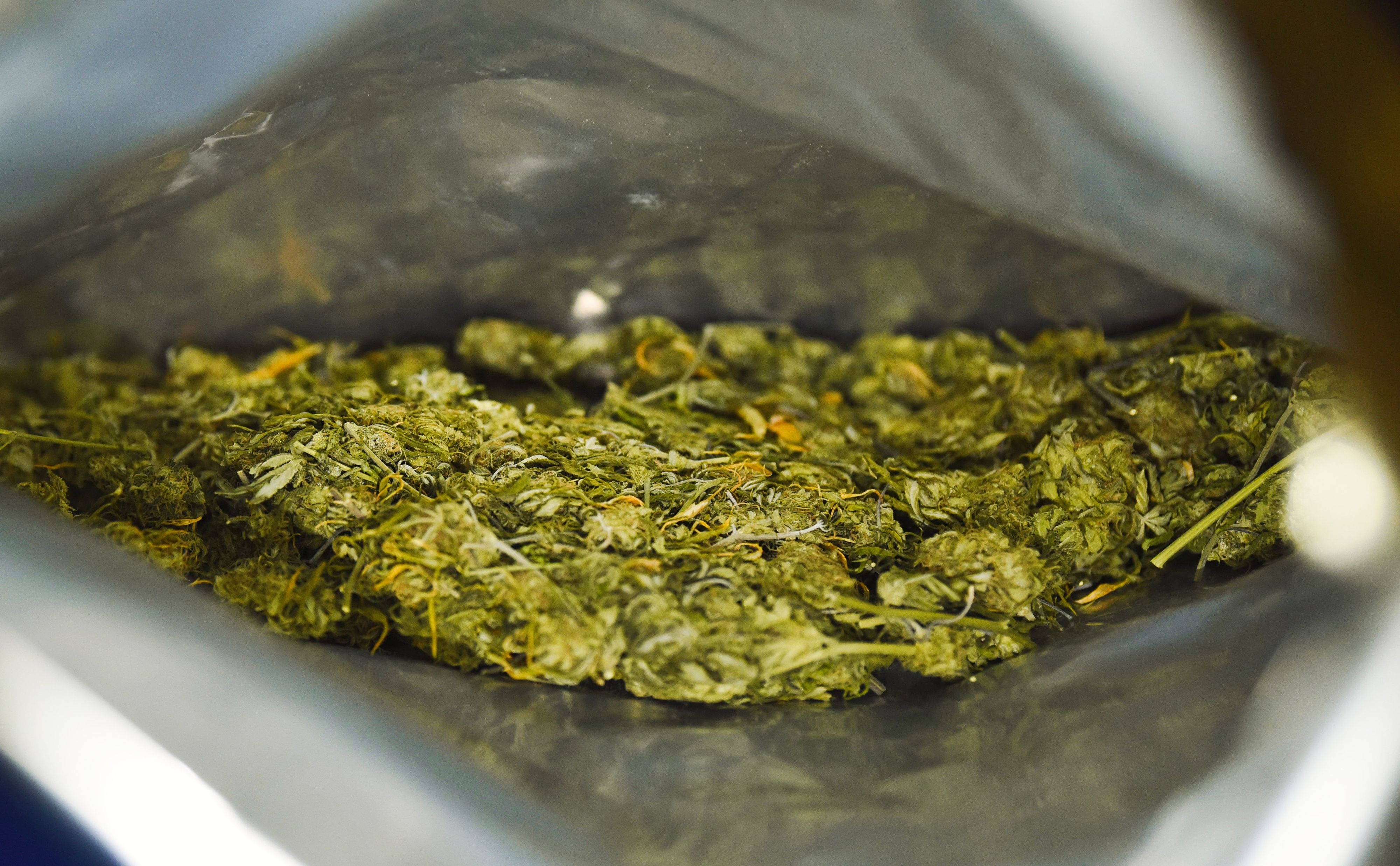 Von Polizei beschlagnahmter Beutel voller Cannabiskraut