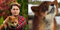 Aus Pelzfarm gerettet: Fuchs "Woody" soll Zeichen sein