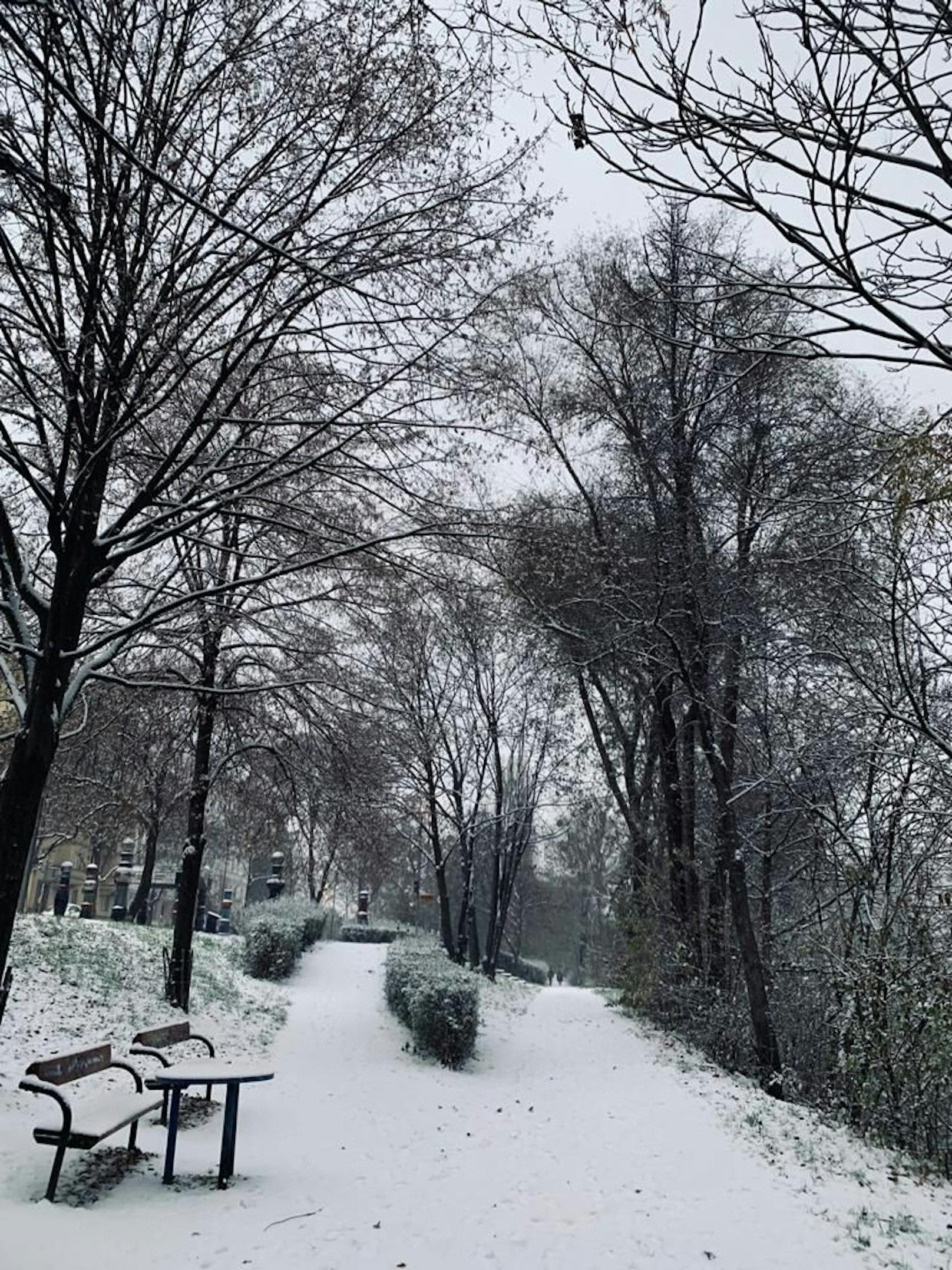 In Wien hat es geschneit.