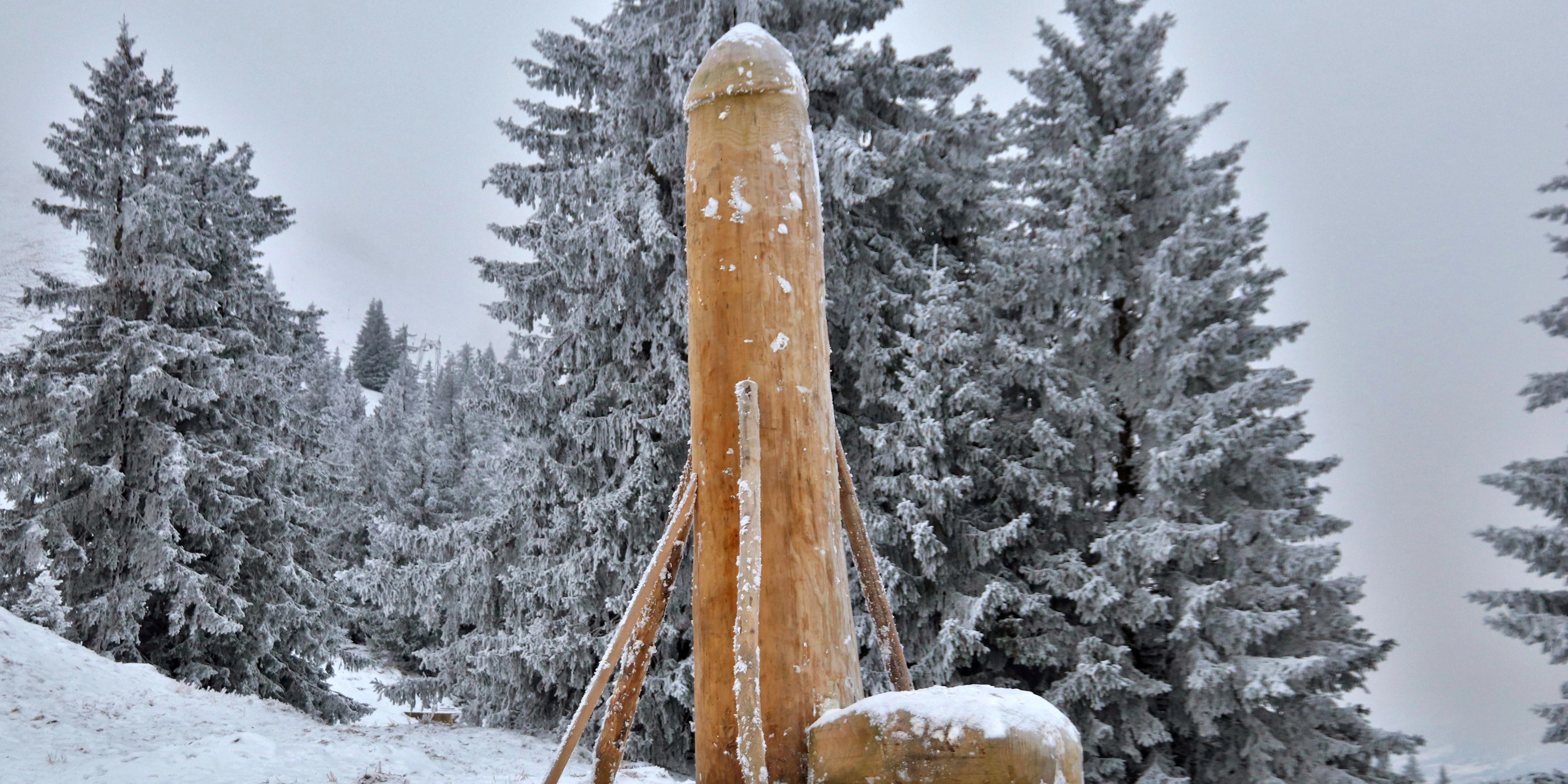 Holzpenis im Allgäu