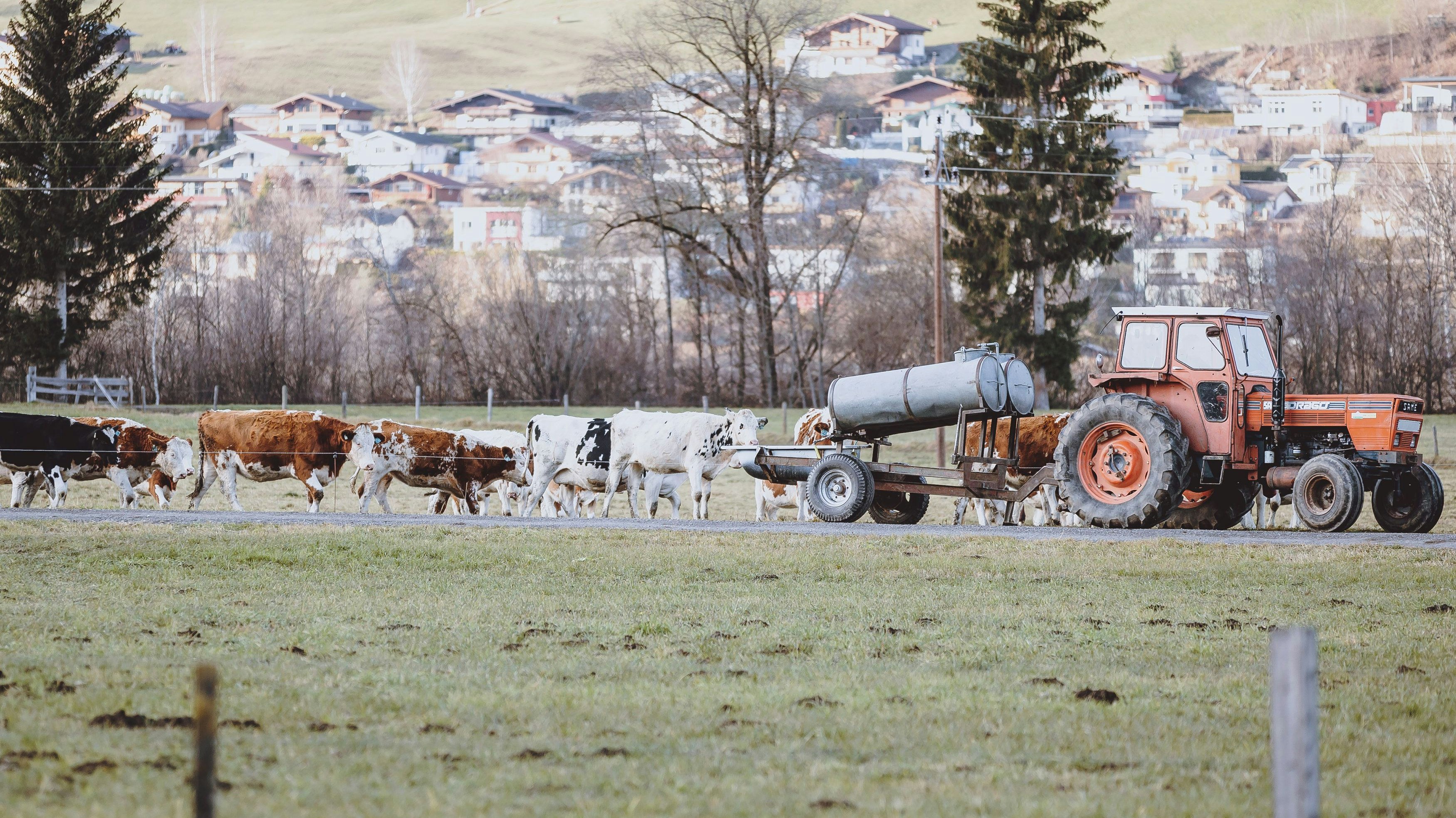 Ein Landwirt in Kaprun