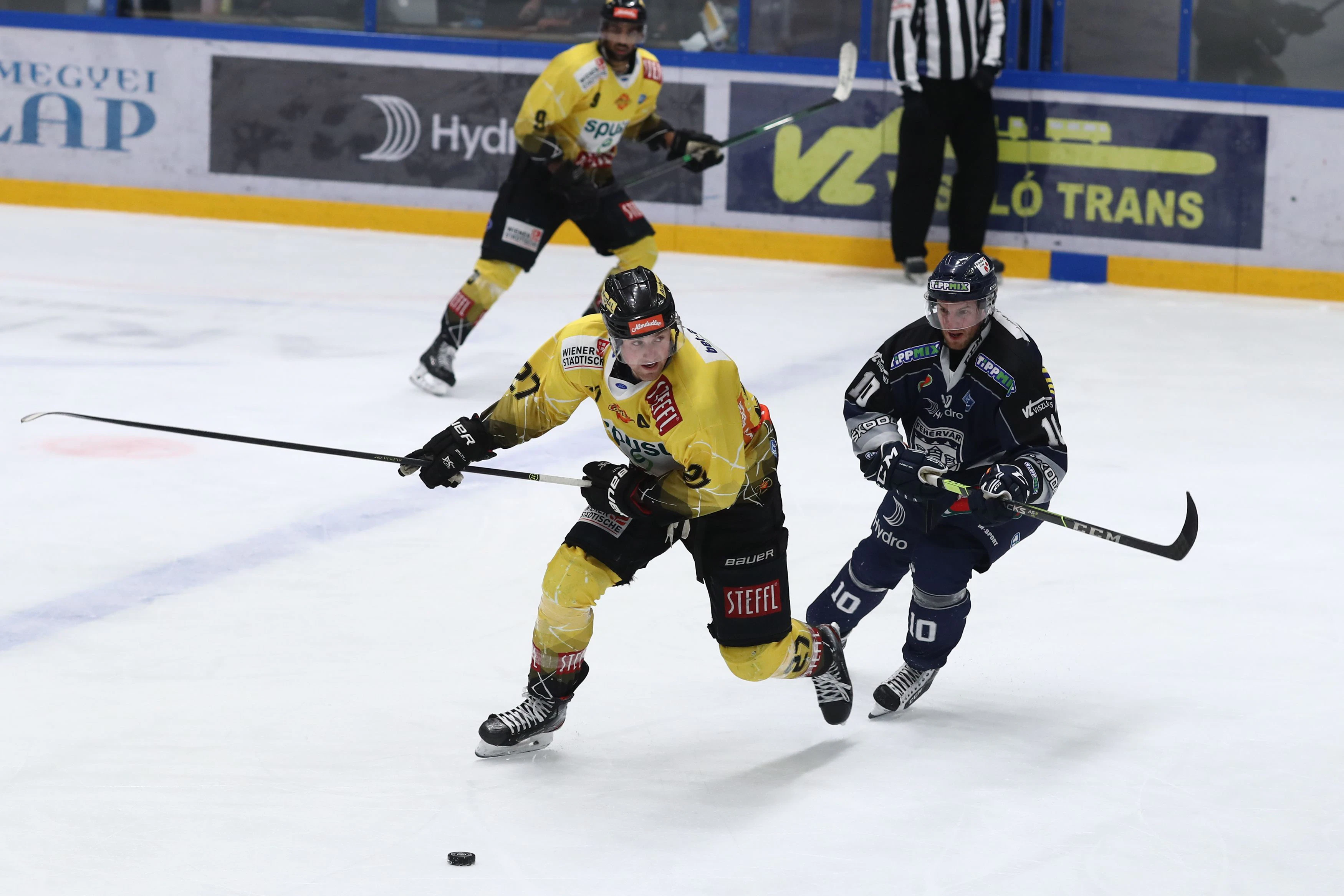 Die Caps jubeln in Fehervar.