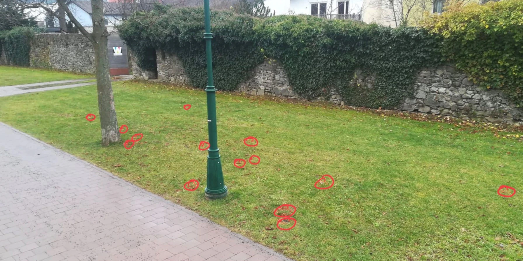 Die roten Kreise weisen auf Hundstrümmerl hin.