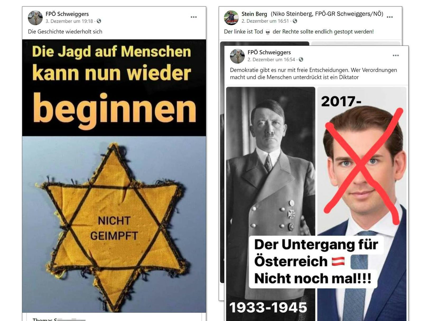 Diese Fotomontage von Kurz postete FPÖ-Gemeinderat Niko Steinberg.
