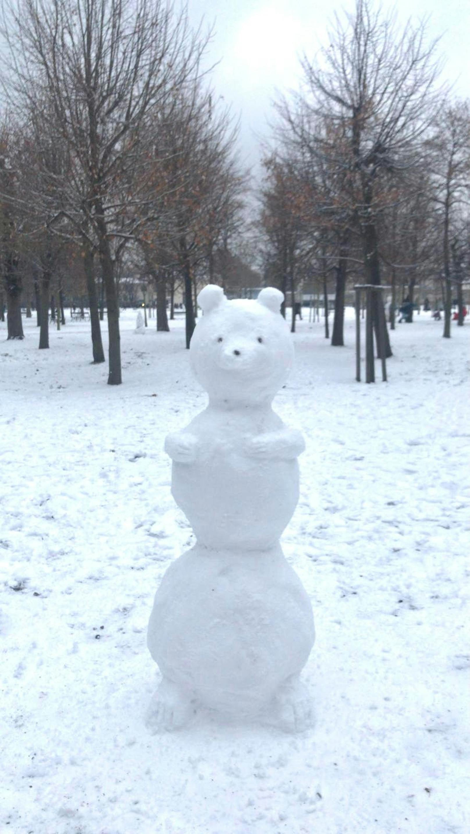 Ein Schneebär.