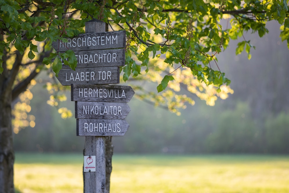 Der Lainzer Tiergarten ist als Nah-Erholungsgebiet der Wiener sehr beliebt. Nun öffnet er wieder seine Tore. 