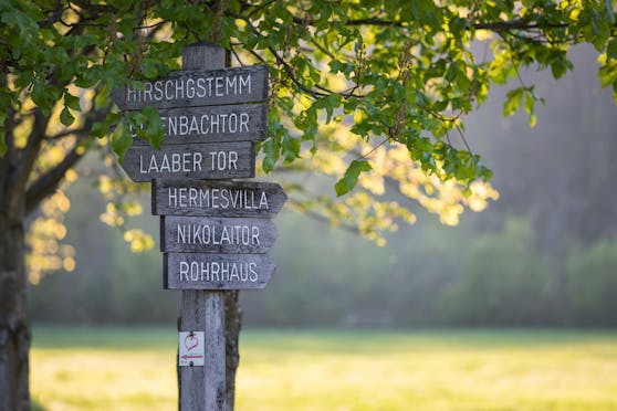Der Lainzer Tiergarten ist als Nah-Erholungsgebiet der Wiener sehr beliebt. Nun öffnet er wieder seine Tore.