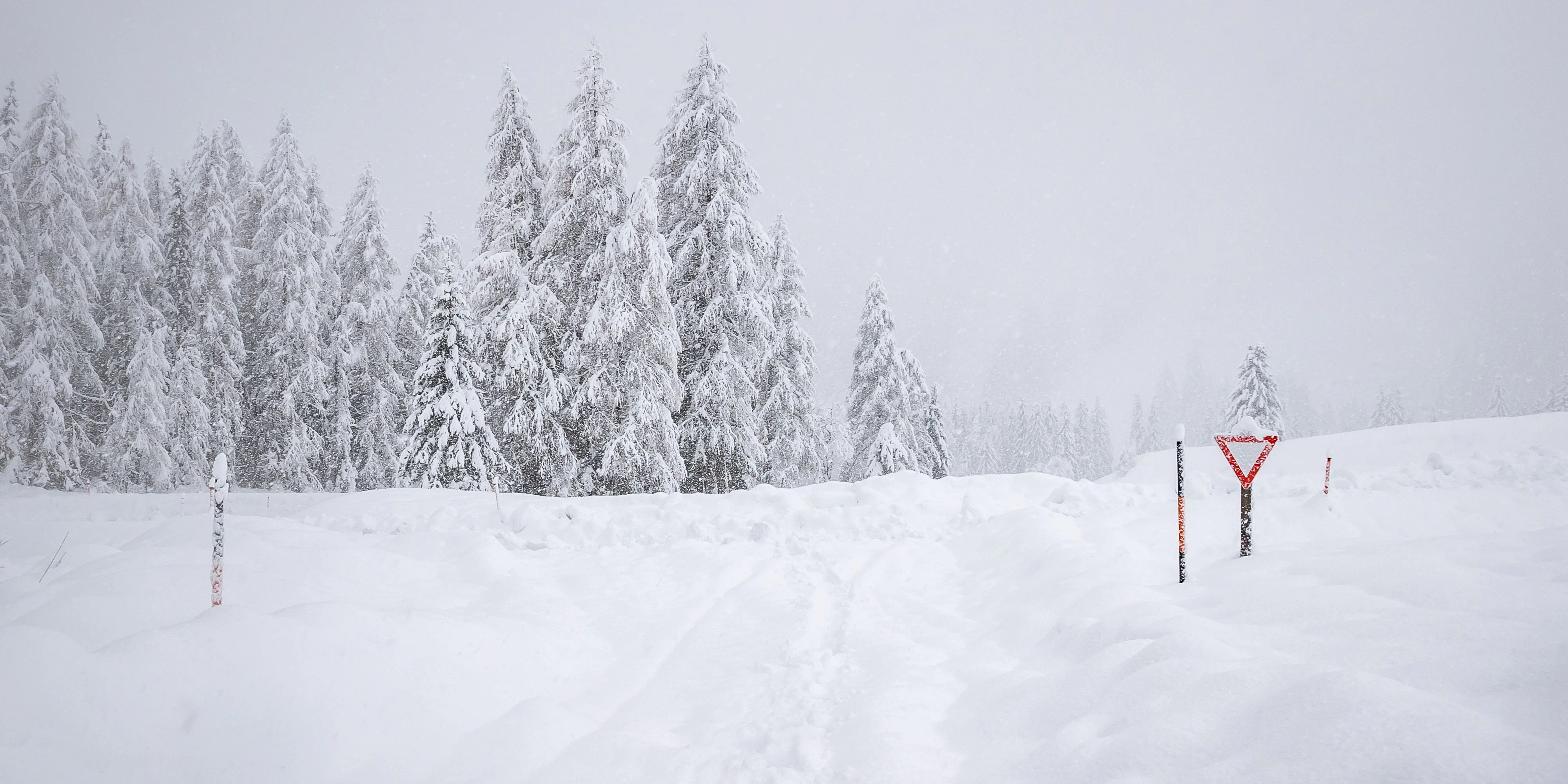 Schneefälle bis ins Tiefland, teils 10 cm in einer Stunde.