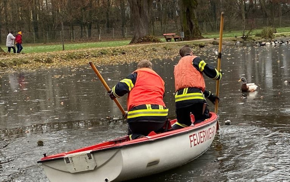Mit einem Kescher holten sie die Ente aus dem Wasser