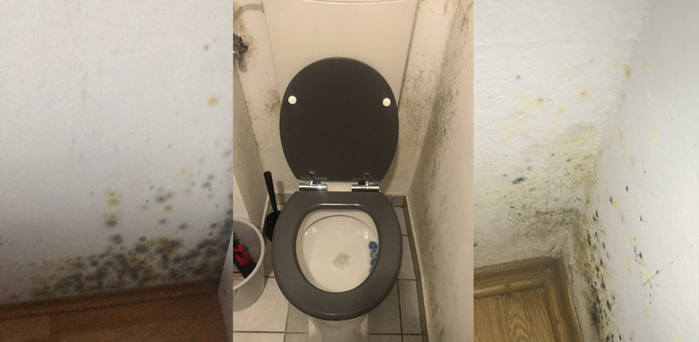 So stark schimmelte es in der Wohnung der jungen Mutter