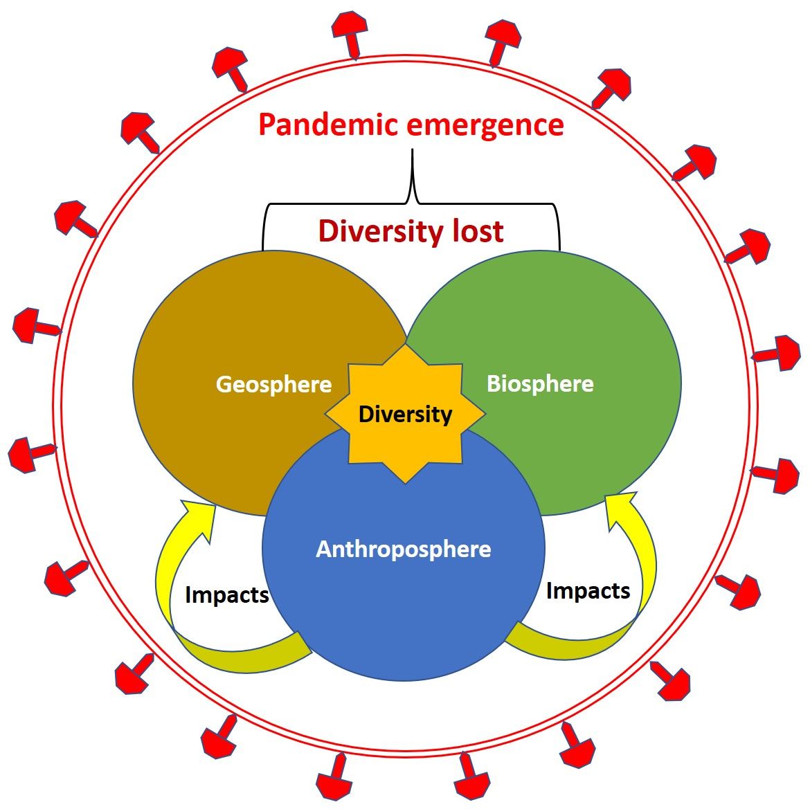 Entstehung von Pandemien durch globalen Diversitätsverlust im biologischen, anthropologischen und geologischen Bereich