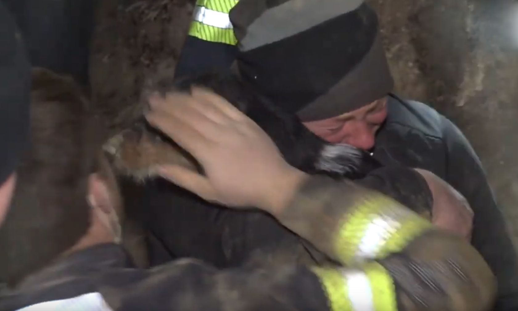 Hund "Diego" steckte tagelang in einem Dachsbau fest. Die Rettungsaktion war rührend. 