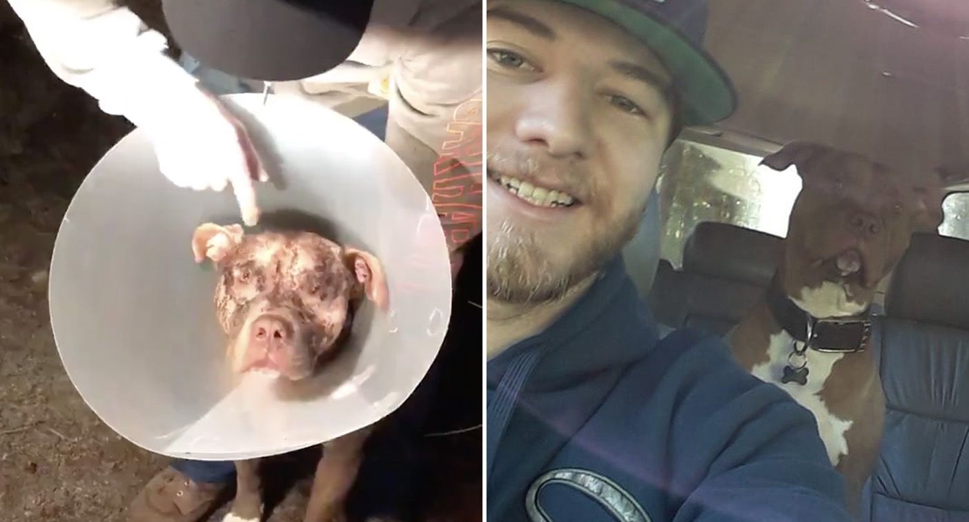 Kaleb Bentham befreite seinen Hund aus dem Maul eines Bären.