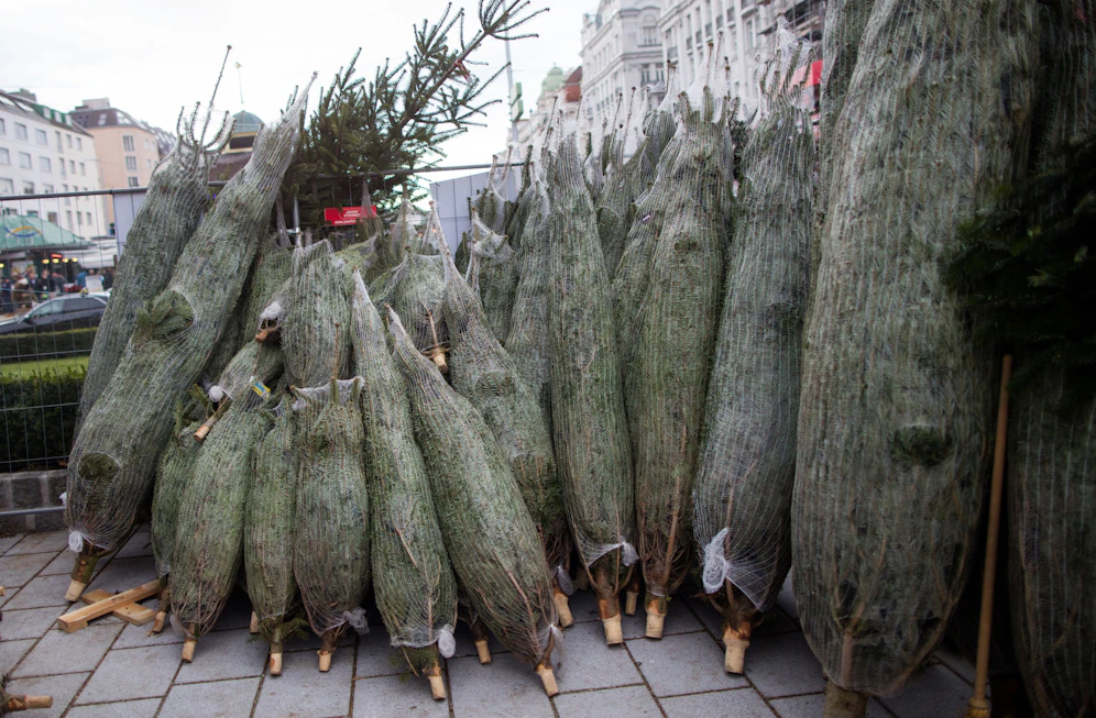 Der Christbaum-Verkauf lief heuer überraschend gut.