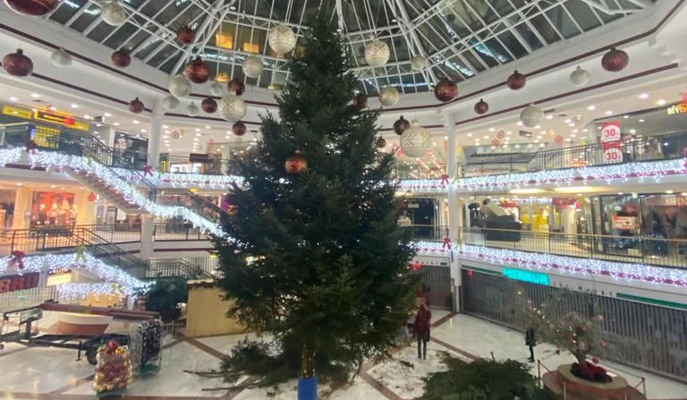Und so schaut er aus, der Baum.