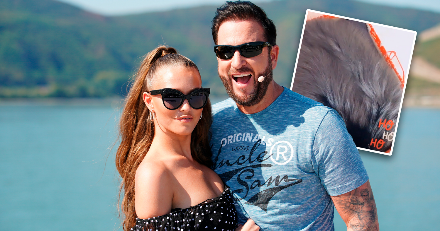 Für die Adventszeit scheint der Wendler ordentlich ins Börserl gegriffen zu haben.