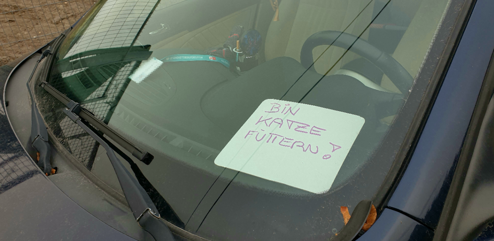 Diese Autofahrerin hatte scheinbar keinen Parkschein zur Hand