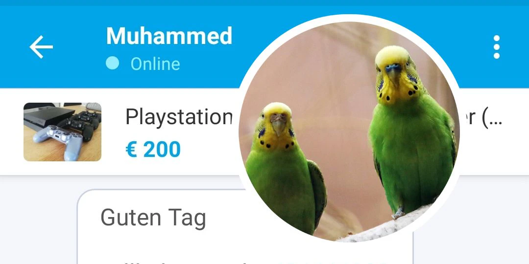 Vögel vs. FIFA... 