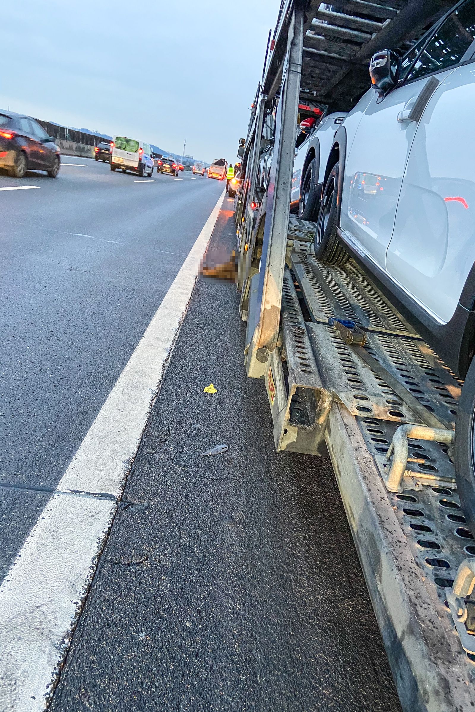 Eines der Tiere lag tot unter einem Lkw, als die Feuerwehr zum Unfallort kam.