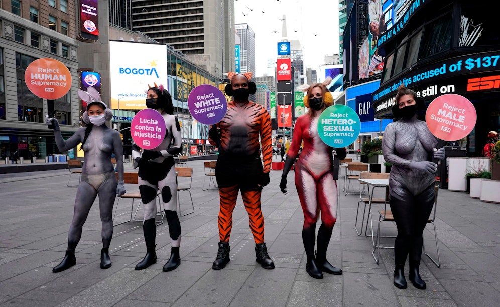 Mitten am New Yorker Times Square posierten die nur bemalten Damen in der Kälte für PETA und demonstrierten gegen Speziesismus. 
