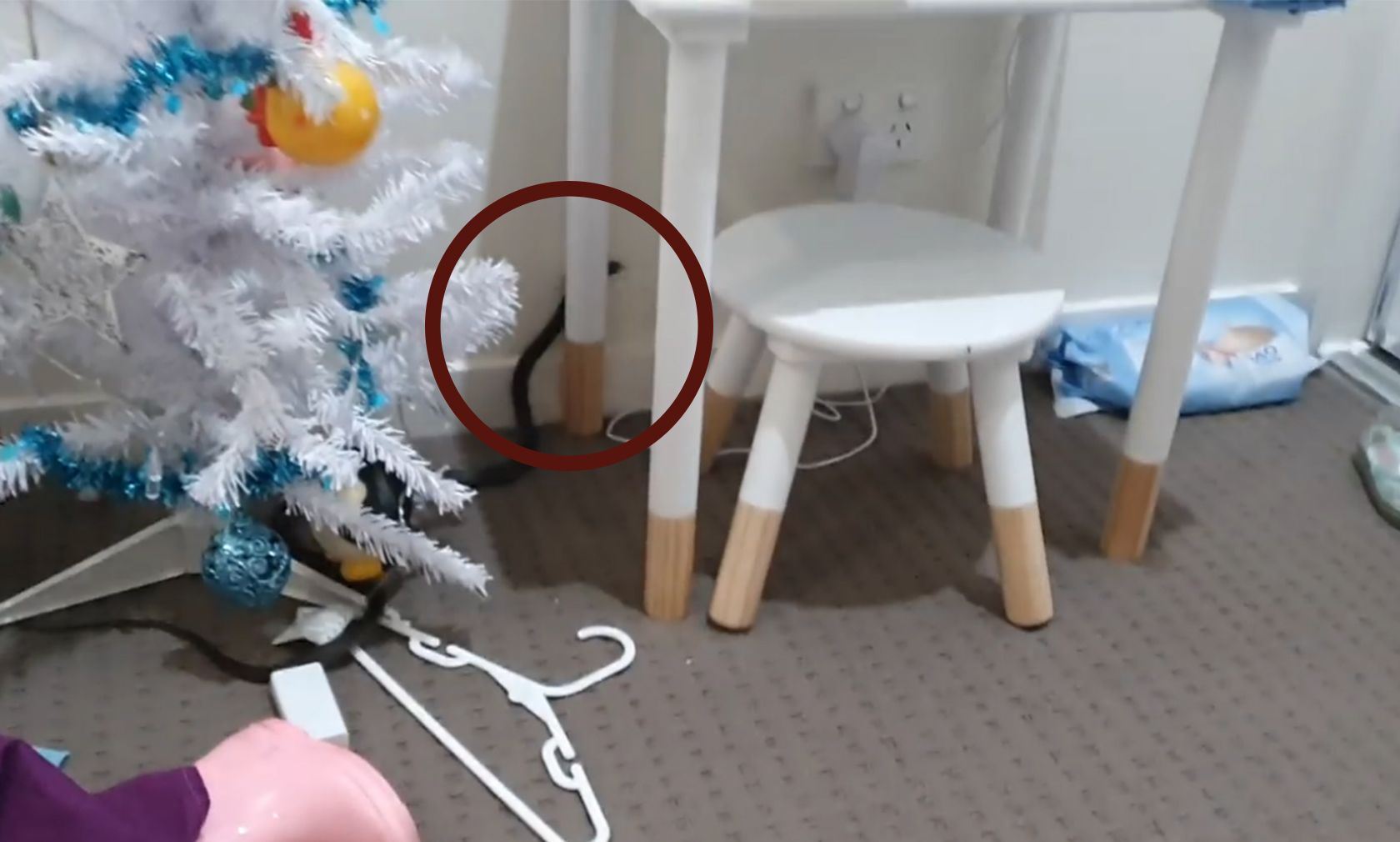 Eine "Braunschlange" hat sich in ein australisches Kinderzimmer geschwindelt. 