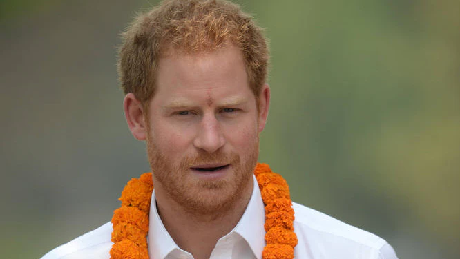 Prinz Harry hilft in Nepal