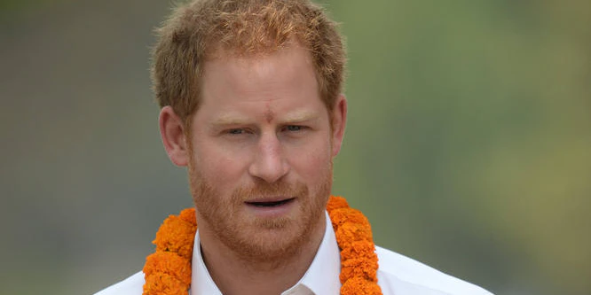 Prinz Harry hilft in Nepal