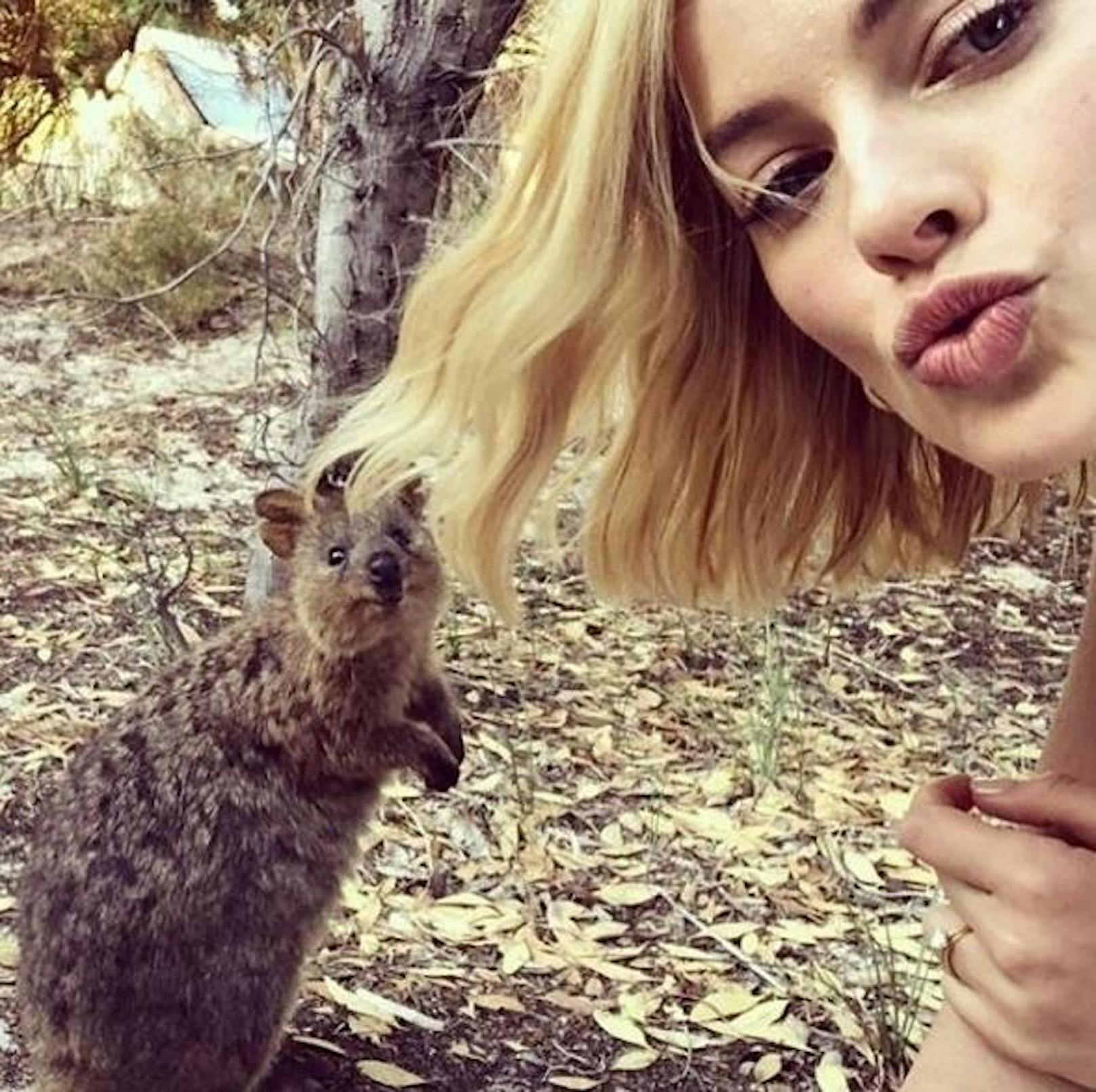 23.03.2018: Schauspielerin Margot Robbie schickt ihren Instagram-Fans liebe Grüße aus Australien. Für ein Selfie hat sie sich ein süßes Quokka vors Handy geholt.