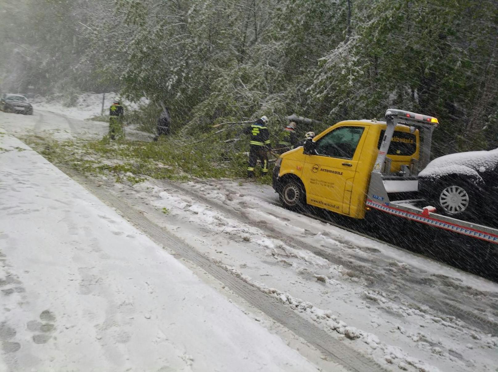 Mehrere Bäume sind wegen des Schneesturms umgefallen und auf Autos gestürzt. Trotz jährlicher Warnungen seits der Feuerwehr, sein Fahrzeug bei Sturm nicht unter Bäumen zu parken!