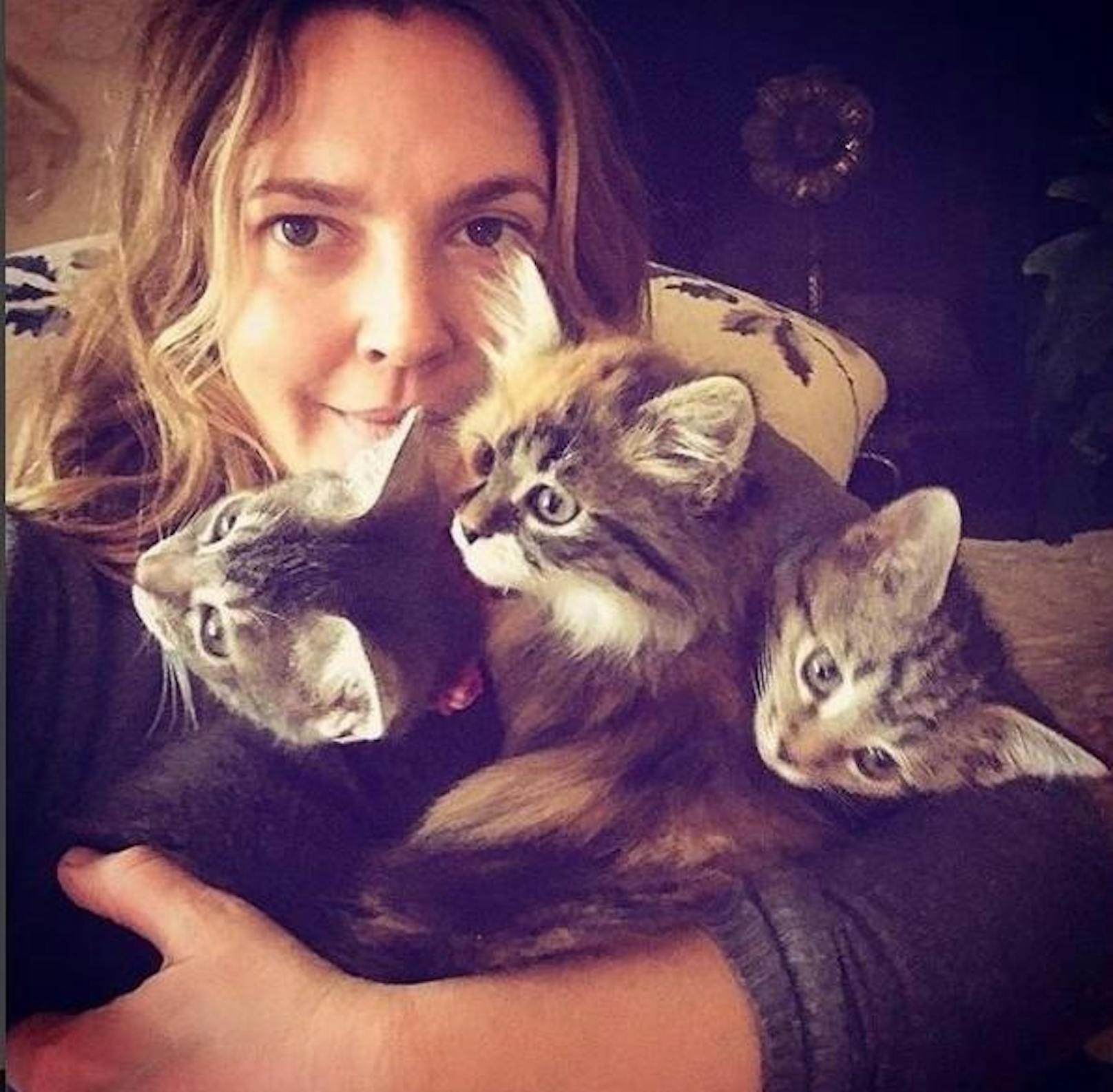14.01.2018: Drew Barrymore hat ein Herz für Tiere. Gemeinsam mit ihren Töchtern besuchte sie ein Tierheim und brachte von dort die drei kleine Miezen Lucky, Peach und Fern mit nach Hause.