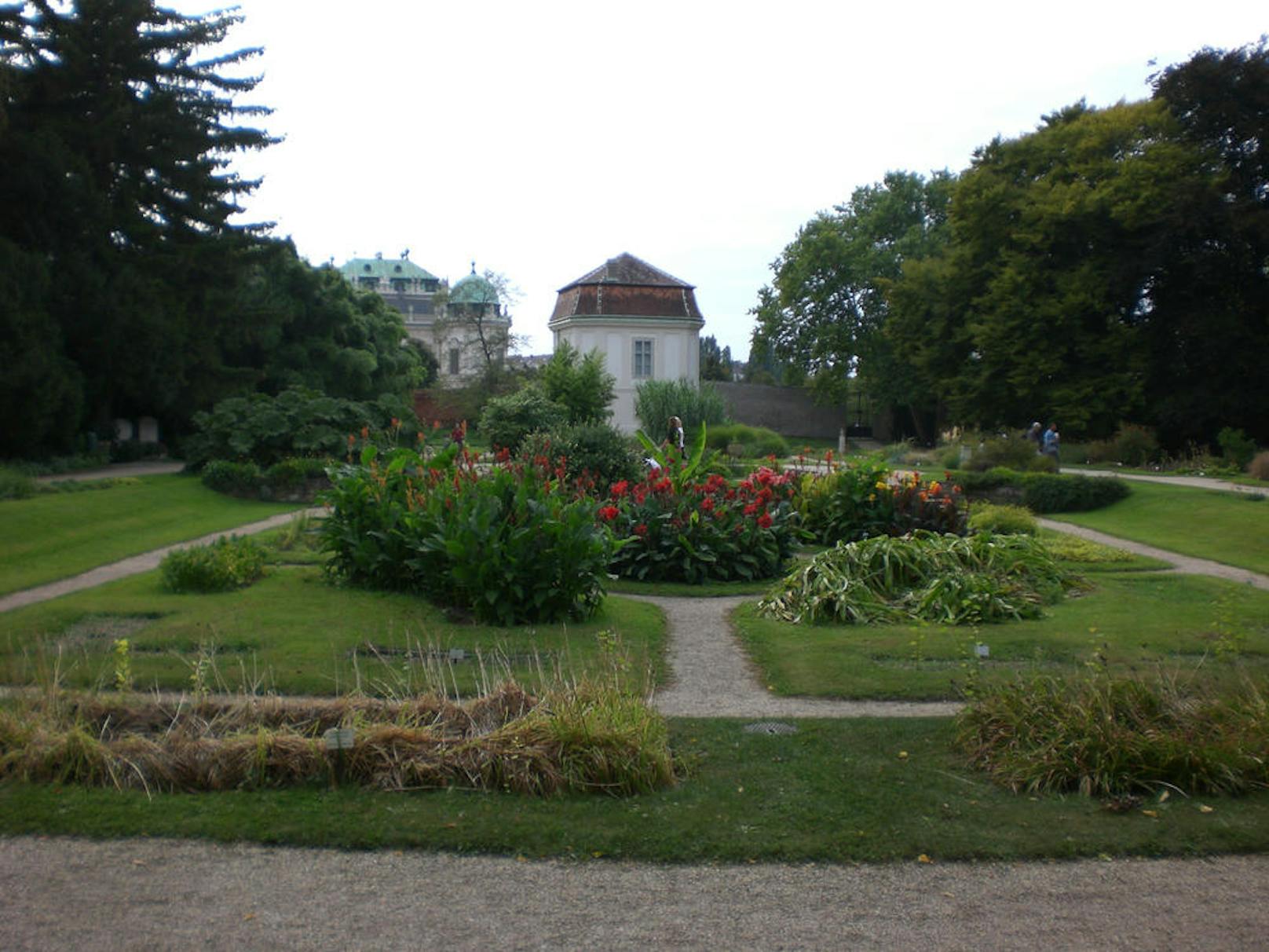 <b>Botanischer Garten, 3. Bezirk:</b> Gleich neben dem Belvedere lädt der Botanische Garten (Öffnungszeiten beachten!) zu Spaziergängen oder zum Bücherlesen ein. Er wurde von Kaisern Maria Theresia 1745 angelegt und gehört der Universität Wien.