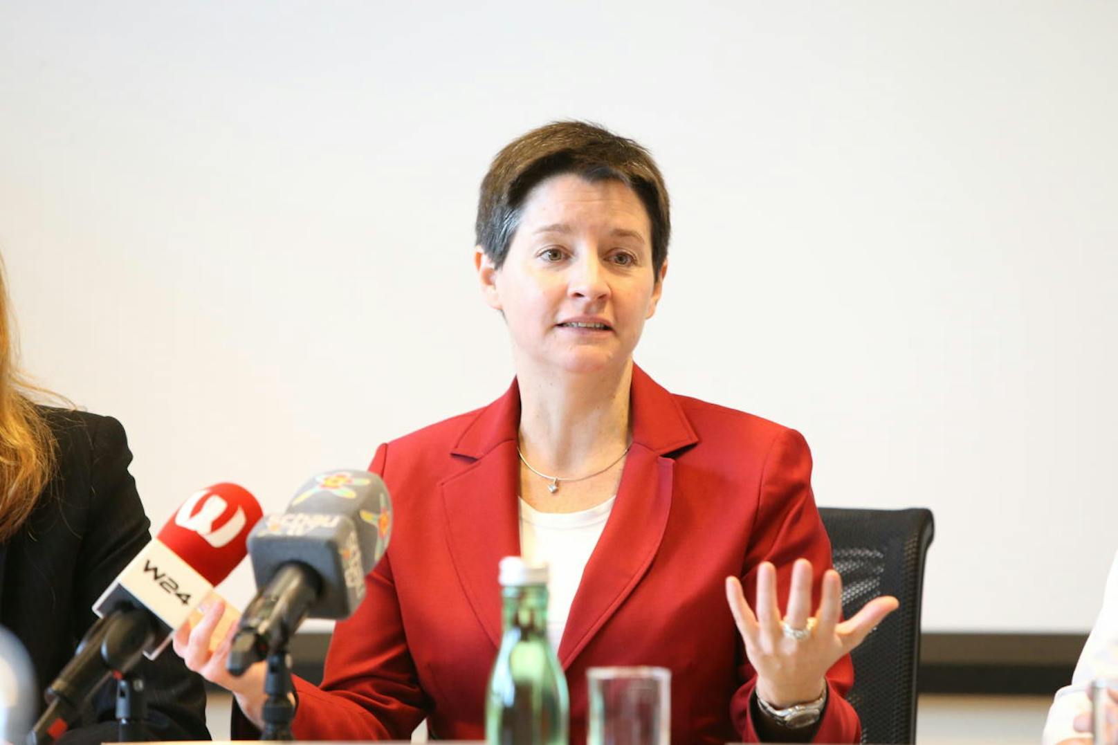 Doch als Partner der glücklosen ehemaligen Stadträtin Sonja Wehsely, schied er zuletzt aus dem Nachfolger-Karussel aus.