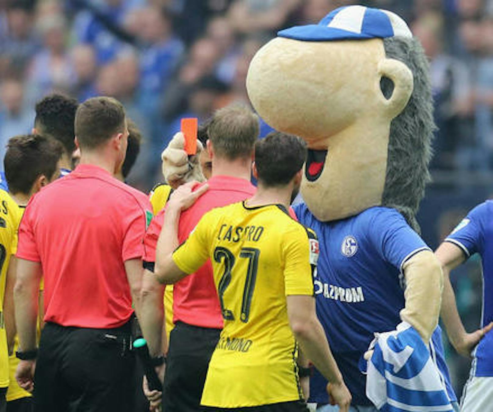 Schalke-Maskottchen Erwin zeigt dem Schiedsrichter Rot - eine harte Strafe bleibt den "Knappen" erspart, der DFB belässt es bei einer Verwarnung.