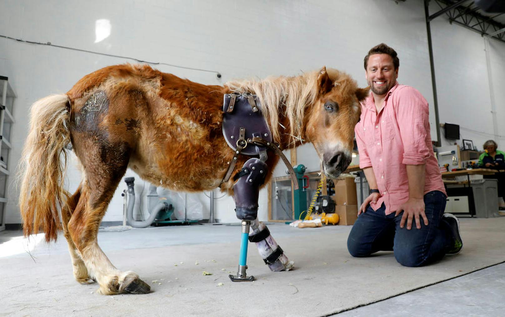 Derrick Campana von der Firma Animal Ortho Care in Sterling (Virginia) stellt Prothesen für amputierte Tiere her.
