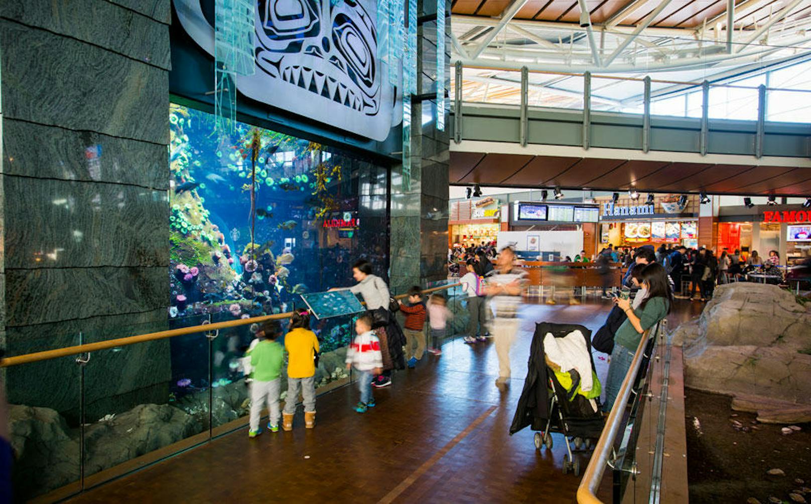 <b>Vancouver International Airport: Anemonen am Airport</b><br>
Der Vancouver International Airport beheimatet gleich zwei Aquarien, in denen Reisende über 70.000 verschiedene Meeresbewohner bestaunen können. Im größeren der beiden Aquarien, auf Level drei des Internationalen Terminals, leben Anemonen, bunte Seesterne und in British Columbia beheimatete Fischarten. Im zweiten Aquarium, auf der darüber liegenden Etage, sind zahlreiche Quallen untergebracht.