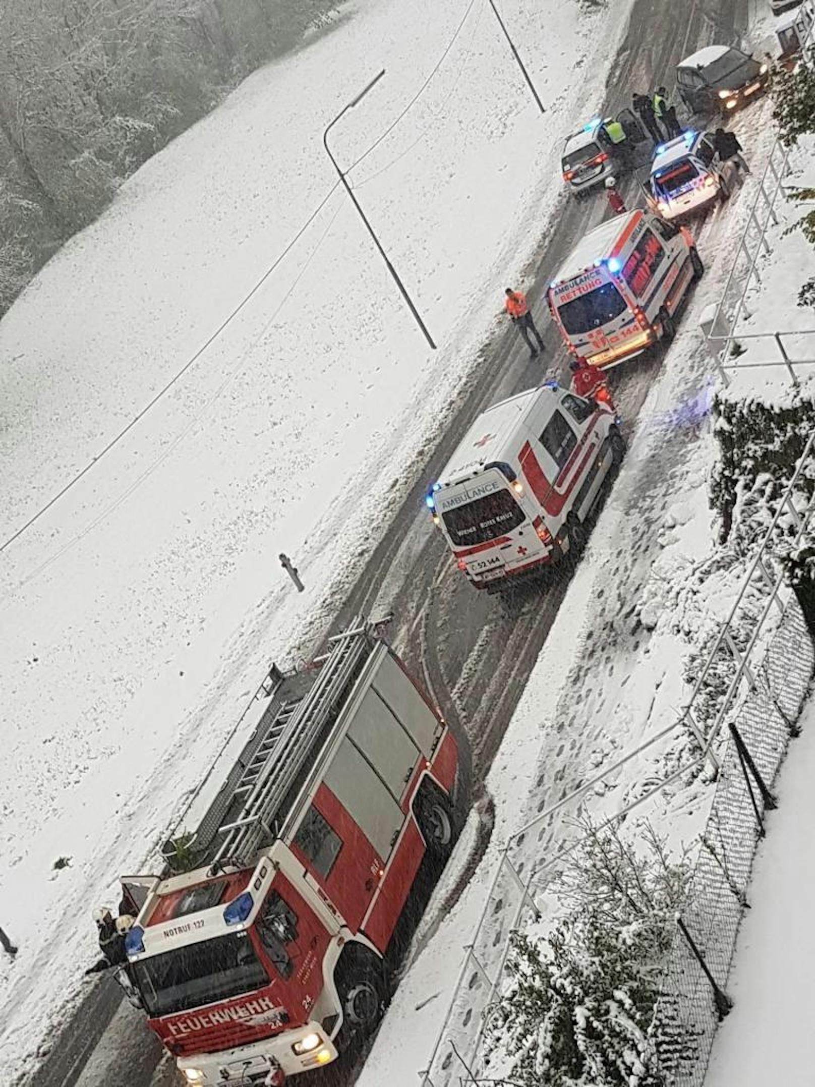 Mittwochnachmittag bestätigte der Pressesprecher der Feuerwehr, Christian Feiler, über 80 Schnee-Einsätze. Nicht wenige davon, weil Bäume auf Autos oder Straße fallen.
