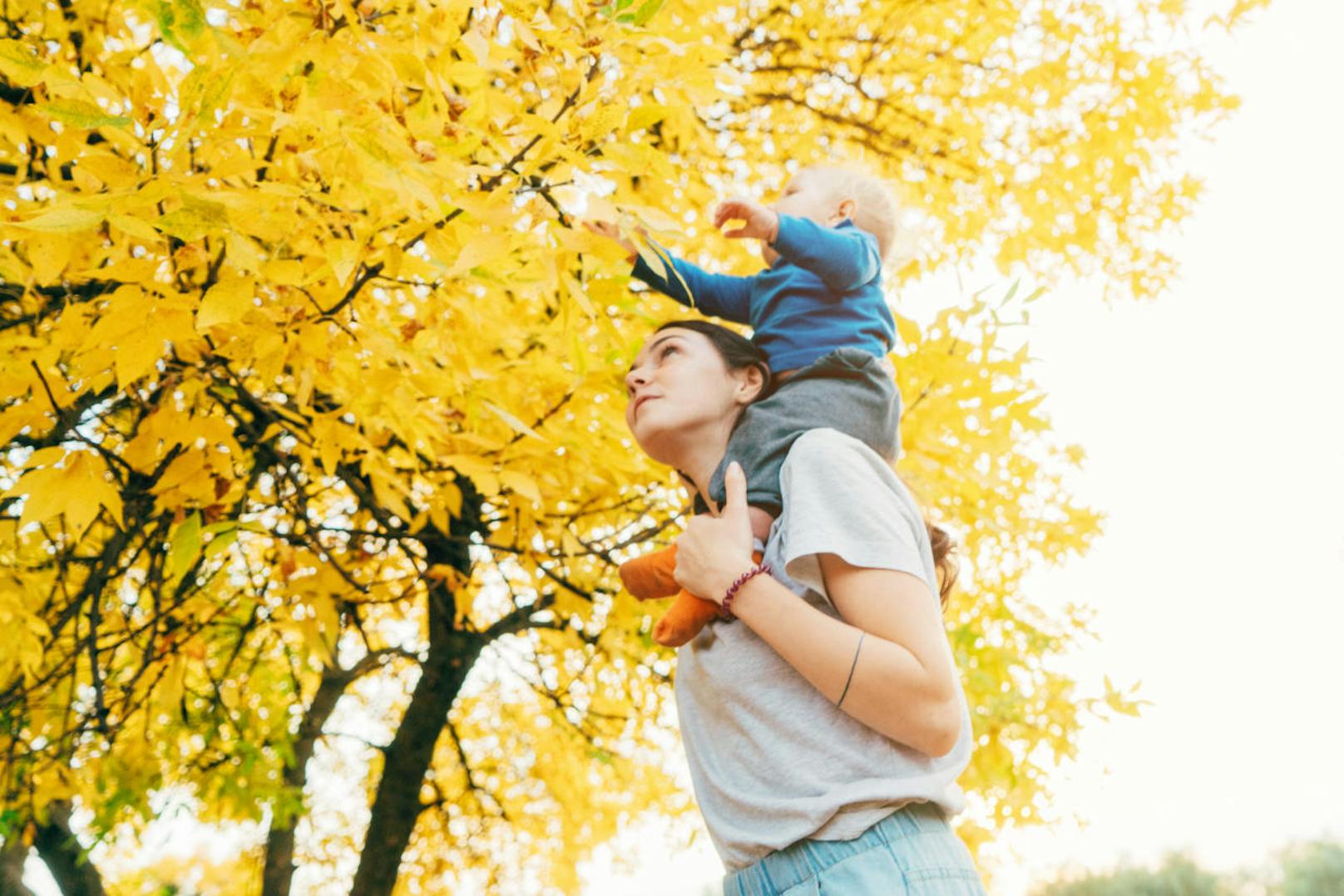 <b>Naher Osten
</b>Im nahen Osten dürfen Kinder nicht nachts unter Bäumen spielen, da die Eltern fürchten, dass böse Geister in die Kinder einfahren könnten.