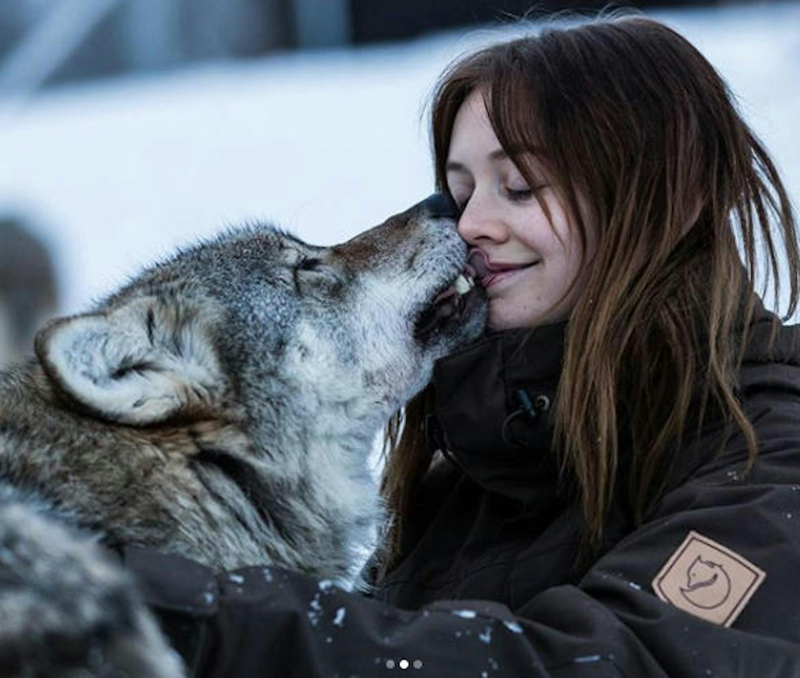 29.12.2017: Billie Lourd hat im Rahmen ihres Norwegen-Urlaubs nicht nur Nordlichter gesehen, sondern auch mit einem Wolf geschmust.