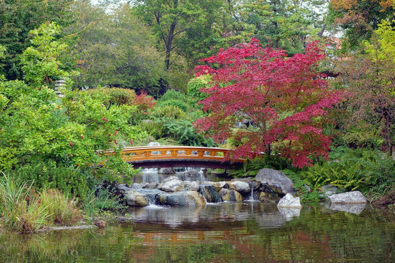 <b>Setagayapark, 19. Bezirk:</b> Japanisches Flair herrscht seit 1992 in Döbling. Da der Bezirk und der Stadtteil Setagaya in Tokyo eine Partnerschaft geschlossen haben, wurde ein japanischer Garten errichtet, der sich wohl von allen anderen Parkanlagen in Wien abhebt.